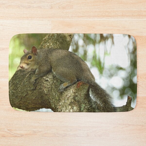 Item preview, Cute Squirrel #0072 designed and sold by Jeffrey Mask.