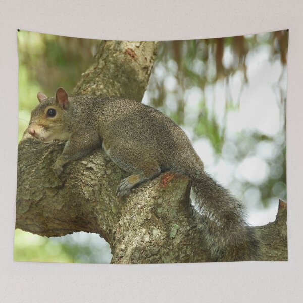 Item preview, Cute Squirrel #0072 designed and sold by Jeffrey Mask.