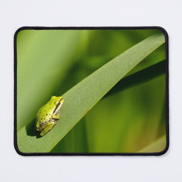 Item preview, It ain’t easy being green designed and sold by Sandi Walmsley.
