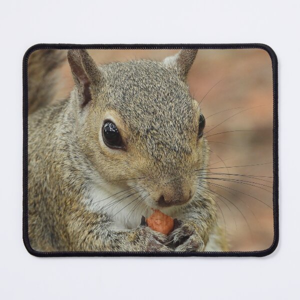 Item preview, Cute Squirrel #0072 designed and sold by Jeffrey Mask.