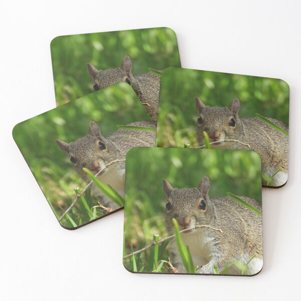 Item preview, Cute Squirrel #0073 designed and sold by Jeffrey Mask.