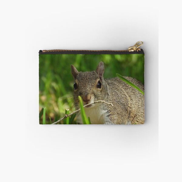 Item preview, Cute Squirrel #0073 designed and sold by Jeffrey Mask.