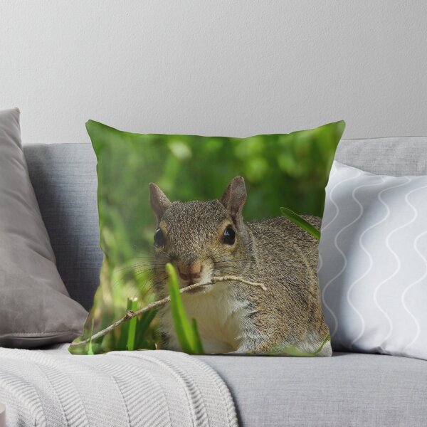 Item preview, Cute Squirrel #0073 designed and sold by Jeffrey Mask.