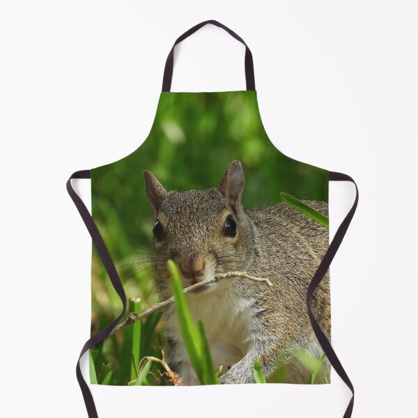 Item preview, Cute Squirrel #0073 designed and sold by Jeffrey Mask.