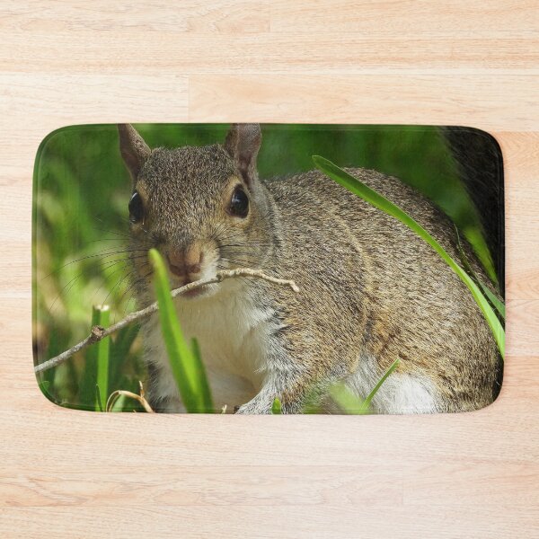 Item preview, Cute Squirrel #0073 designed and sold by Jeffrey Mask.