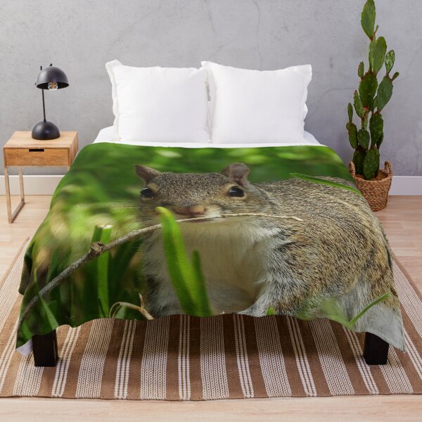 Item preview, Cute Squirrel #0073 designed and sold by Jeffrey Mask.