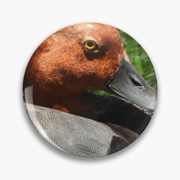 Item preview, Red Head Duck #0001 designed and sold by Jeffrey Mask.