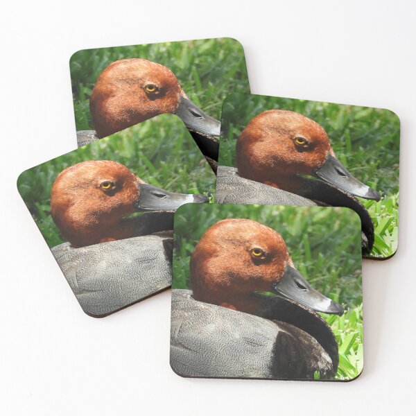 Item preview, Red Head Duck #0001 designed and sold by Jeffrey Mask.
