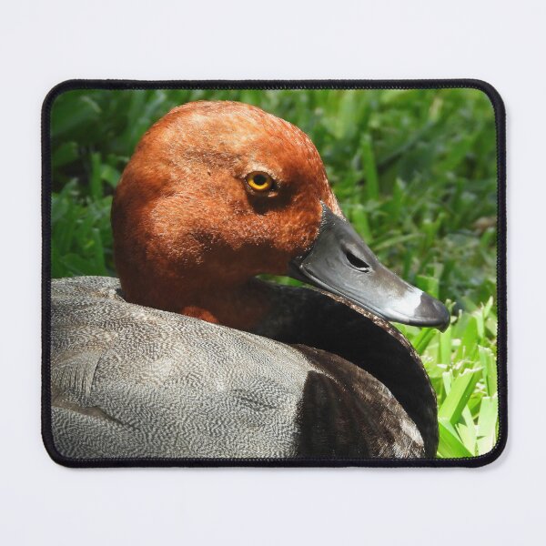 Item preview, Red Head Duck #0001 designed and sold by Jeffrey Mask.