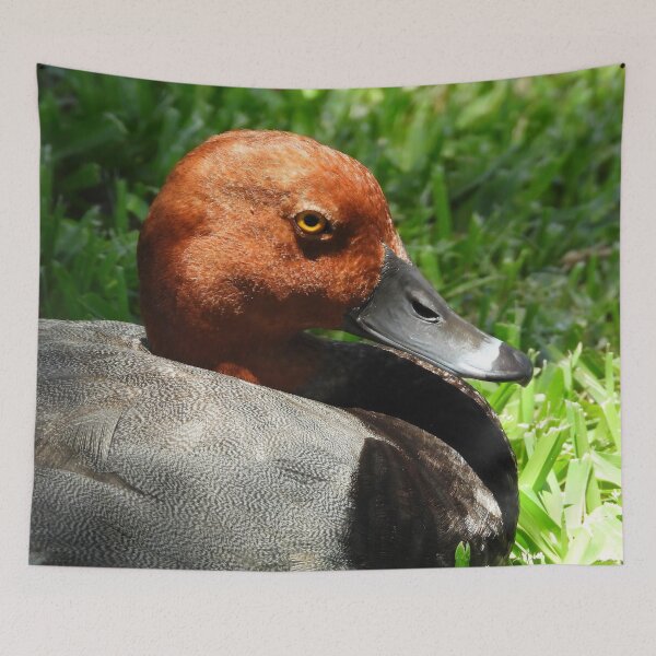 Item preview, Red Head Duck #0001 designed and sold by Jeffrey Mask.