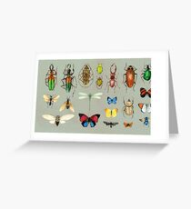 The Usual Suspects - Insects on grey - watercolour bugs pattern by Cecca Designs Greeting Card