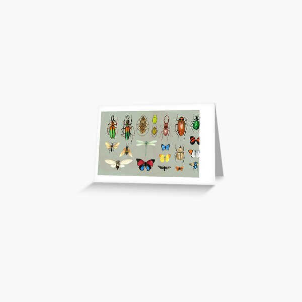 The Usual Suspects - Insects on grey - watercolour bugs pattern by Cecca Designs Greeting Card