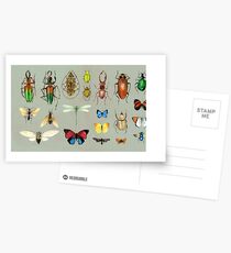 Die üblichen Verdächtigen - Insekten auf Grau - Aquarell Bugs Muster von Cecca Designs Postkarten