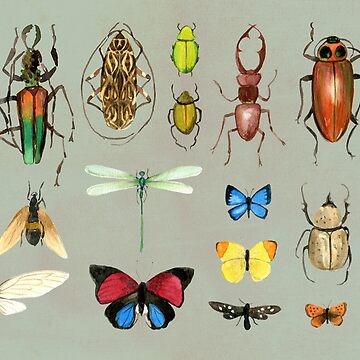 Artwork thumbnail, The Usual Suspects - Insects on grey - watercolour bugs pattern by Cecca Designs by Cecca-Designs
