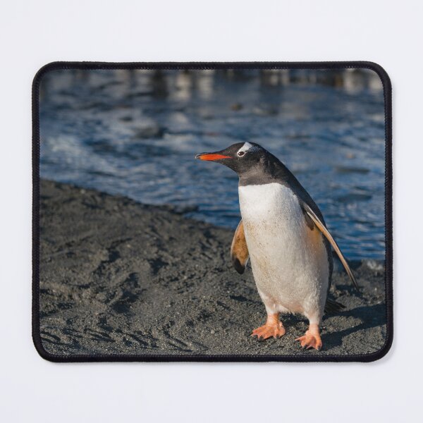 Item preview, I am Gentoo  designed and sold by Mark Prior.