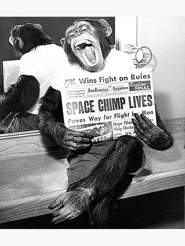 "Ham, space chimp, lives! Poster" Poster by frankiegreene Redbubble