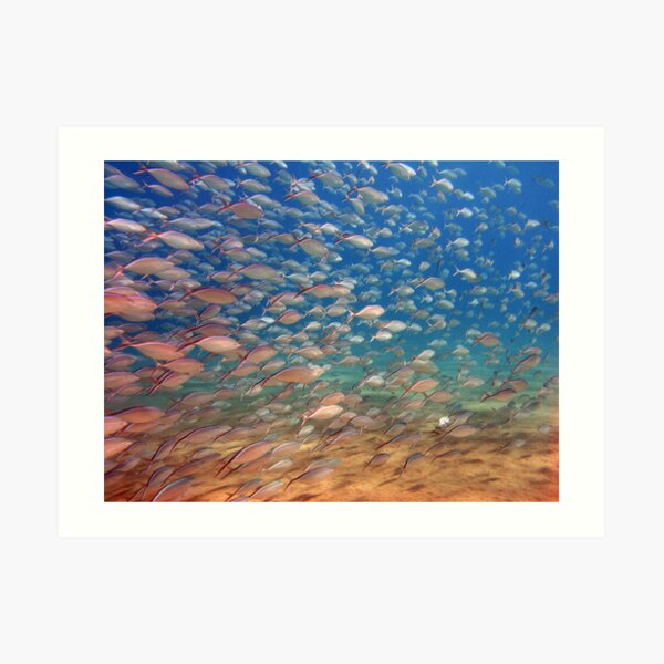 wide angle Art Print