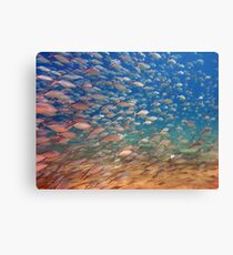 wide angle Canvas Print
