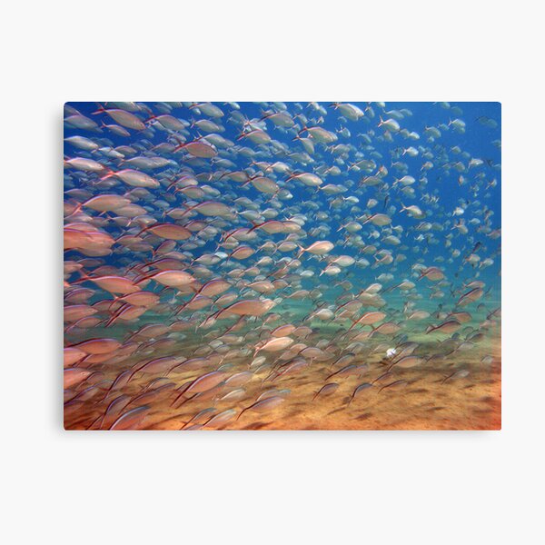 wide angle Canvas Print