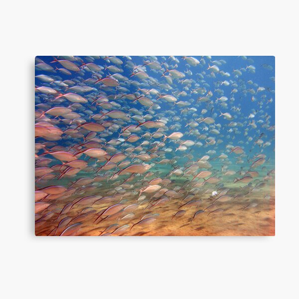 wide angle Metal Print