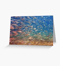 wide angle Greeting Card
