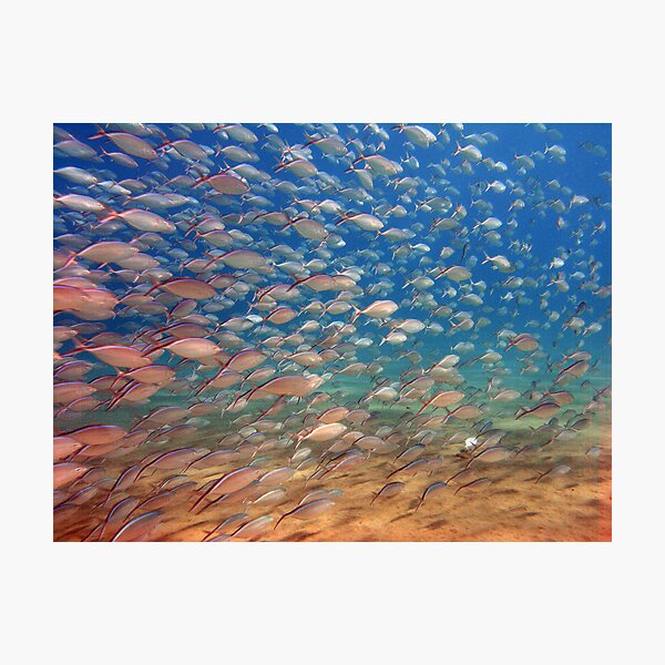 wide angle Photographic Print
