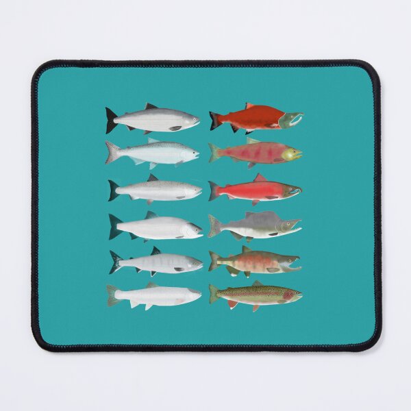 Item preview, Pacific Salmon Group - Ocean and Spawning Phase designed and sold by KaneLauren2.