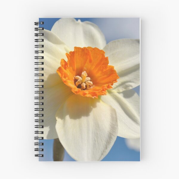 Item preview, Narciso designed and sold by JennaKnight.