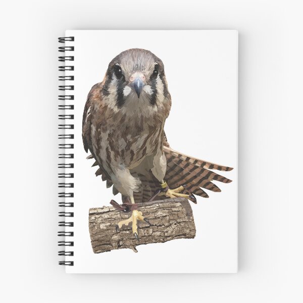 Item preview, Kestrel designed and sold by obscurite.