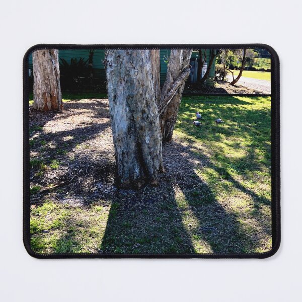Item preview, Trees and Shadows  designed and sold by KazM.