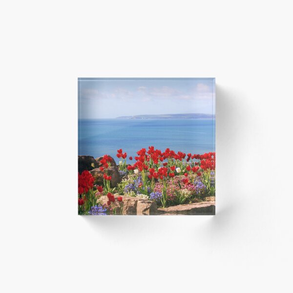 Item preview, Tulips on the East Cliff, Bournemouth designed and sold by RedHillDigital.