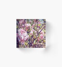 Counting Cheerful Cherry Blossoms Acrylic Block
