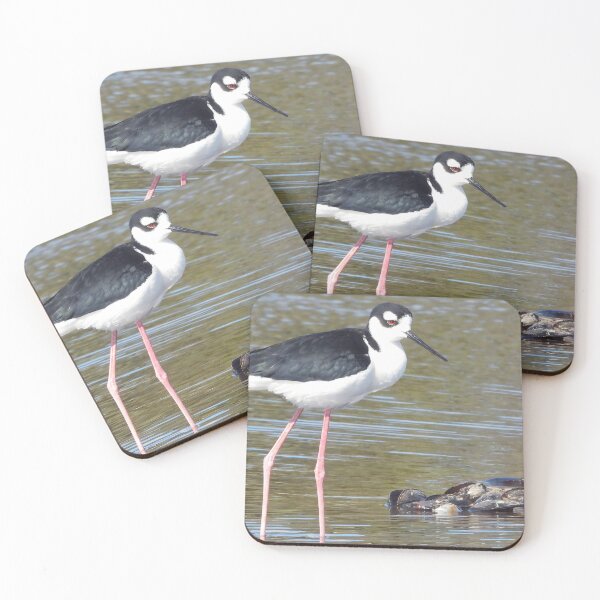 Item preview, Black Neck Stilts designed and sold by Jeffrey Mask.