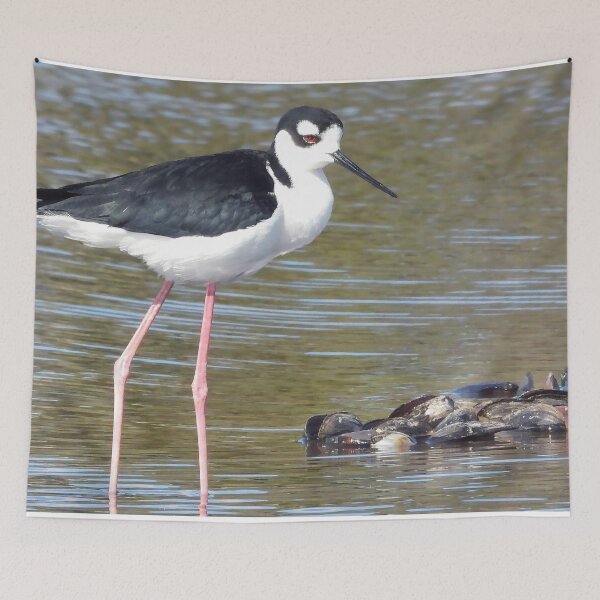 Item preview, Black Neck Stilts designed and sold by Jeffrey Mask.