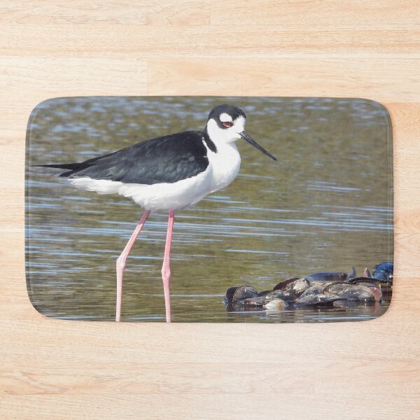 Item preview, Black Neck Stilts designed and sold by Jeffrey Mask.