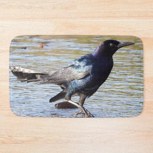 Item preview, Boattail Grackle designed and sold by Jeffrey Mask.