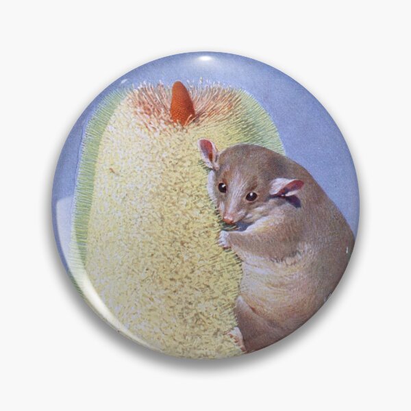 Item preview, Hanging in There Pygmy Possum and Australian Banksia Wildflower Vintage Art designed and sold by StudioMollymook.