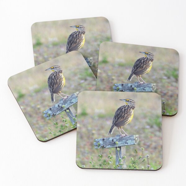 Item preview, Western Meadowlark designed and sold by Jeffrey Mask.