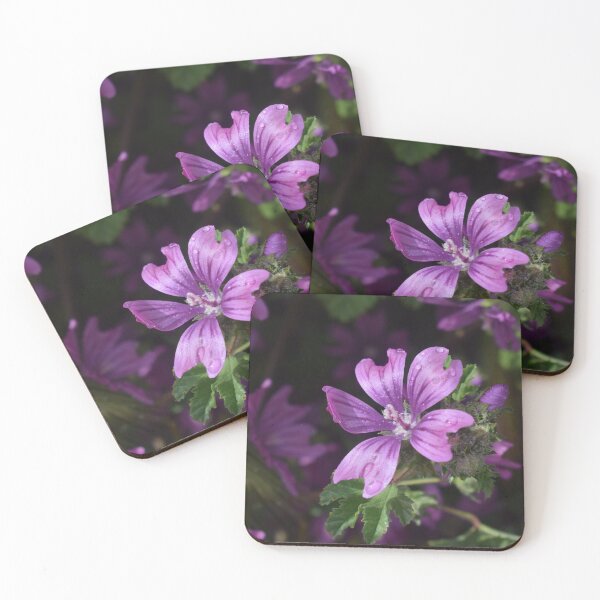 Item preview, Malva Sylvestris 3 designed and sold by Furiarossa.