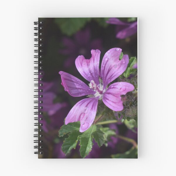 Item preview, Malva Sylvestris 3 designed and sold by Furiarossa.