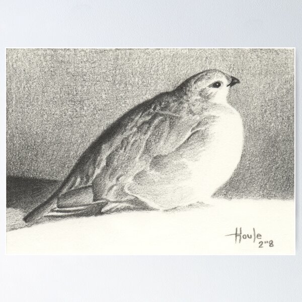 Item preview, Peace and Tranquility - Ptarmigan designed and sold by John Houle.