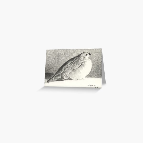 Peace and Tranquility - Ptarmigan Greeting Card