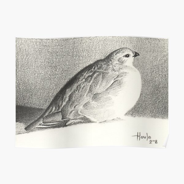Peace and Tranquility - Ptarmigan Poster