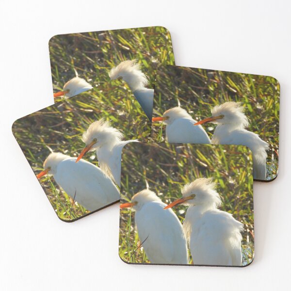 Item preview, Cattle Egrets #002 designed and sold by Jeffrey Mask.