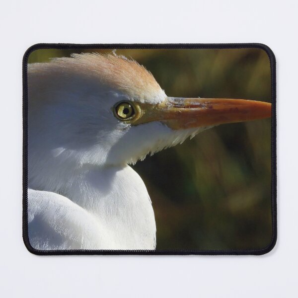 Item preview, Cattle Egrets #003 designed and sold by Jeffrey Mask.