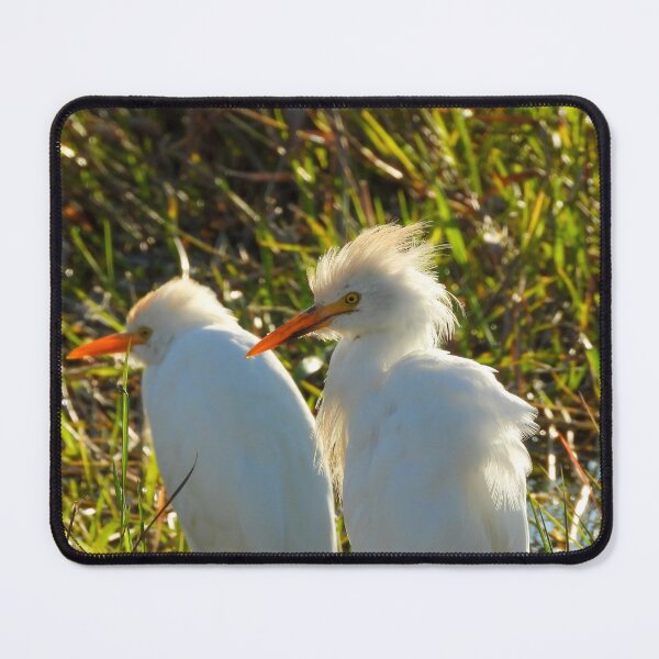 Item preview, Cattle Egrets #002 designed and sold by Jeffrey Mask.
