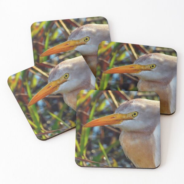 Item preview, Cattle Egret #001 designed and sold by Jeffrey Mask.