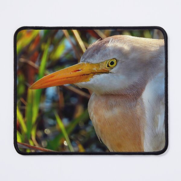 Item preview, Cattle Egret #001 designed and sold by Jeffrey Mask.