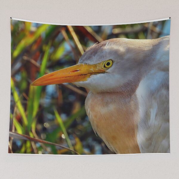 Item preview, Cattle Egret #001 designed and sold by Jeffrey Mask.
