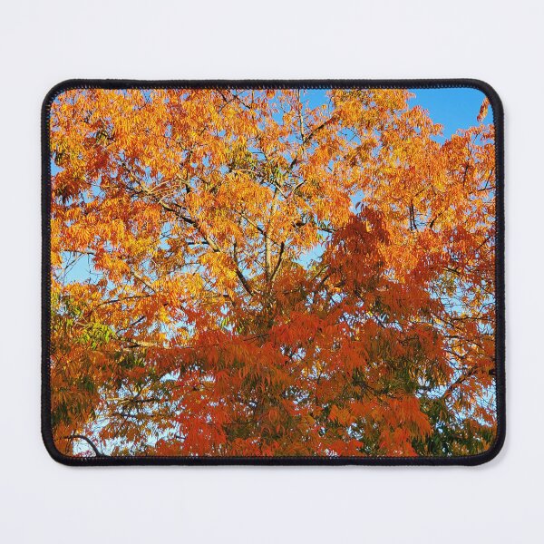 Item preview, Fall in all its Glory designed and sold by bertsworks300.
